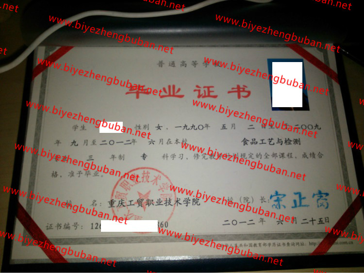 重庆工贸职业技术学院<a href='http://www.biyezhengbuban.net/byzyb/' target='_blank'><u>毕业证样本</u></a>