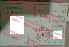望奎县第一中学毕业证样本图